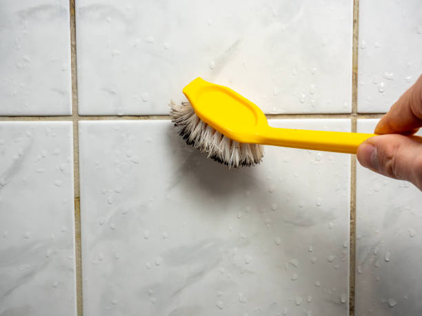 Best Mold Remediation for Specific Building Types in Tell City, IN