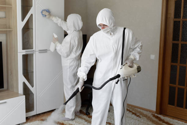Best Post-Flood Mold Remediation in Tell City, IN