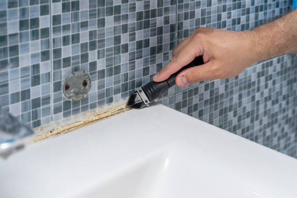 Best White Mold Remediation in Tell City, IN
