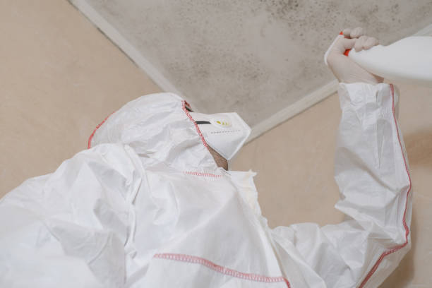 Best Bathroom Mold Remediation in Tell City, IN